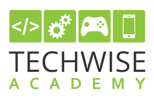 techwise academy logo